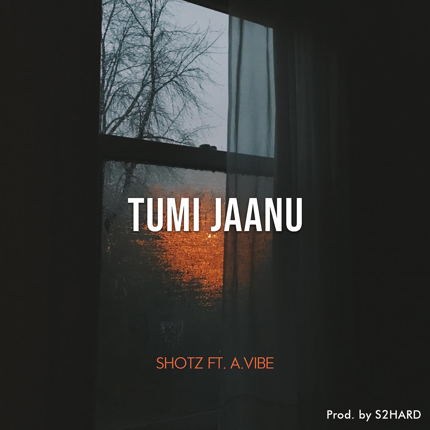 Постер альбома Tumi Jaanu