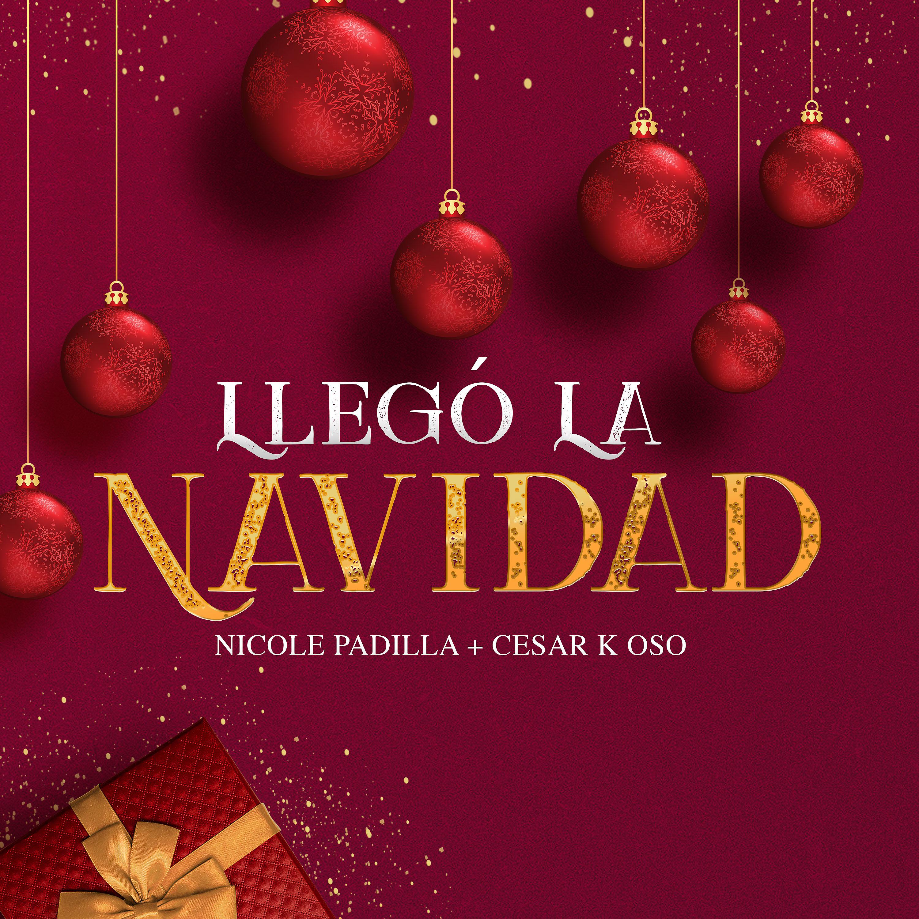 Постер альбома Llegó la Navidad