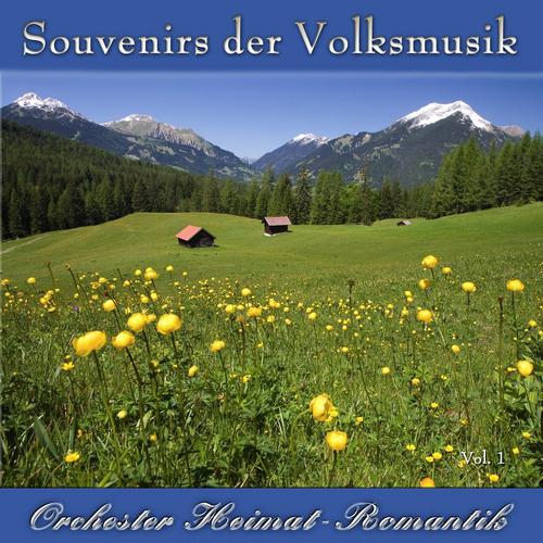 Постер альбома Souvenirs der Volksmusik Vol. 1