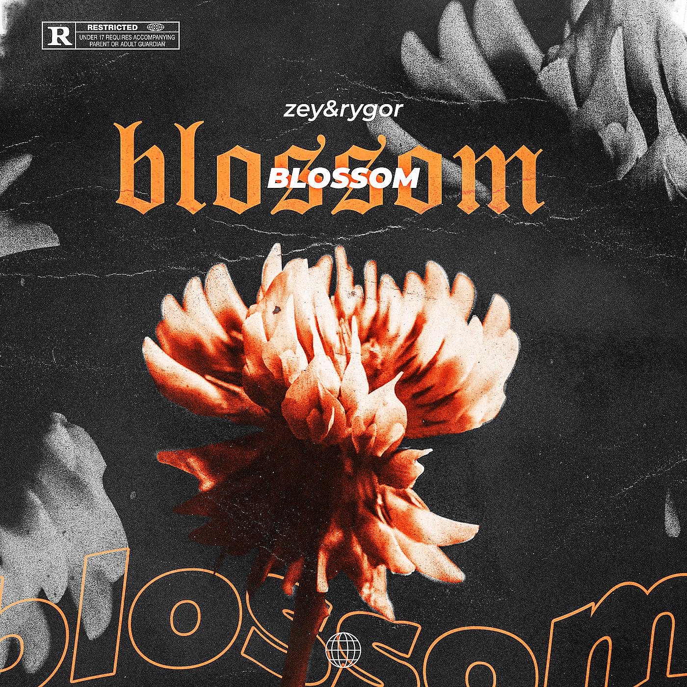 Постер альбома BLOSSOM