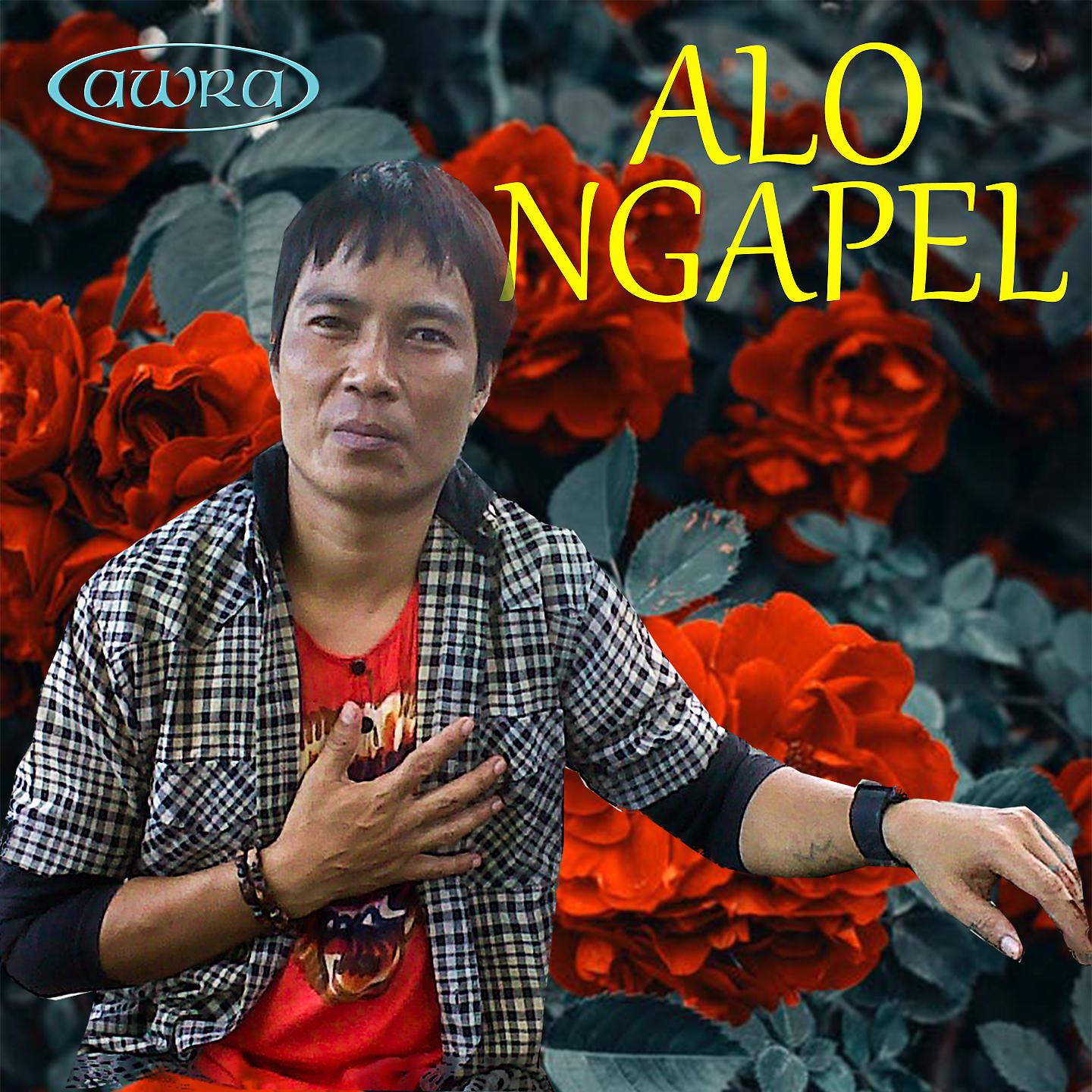 Постер альбома Alo Ngapel