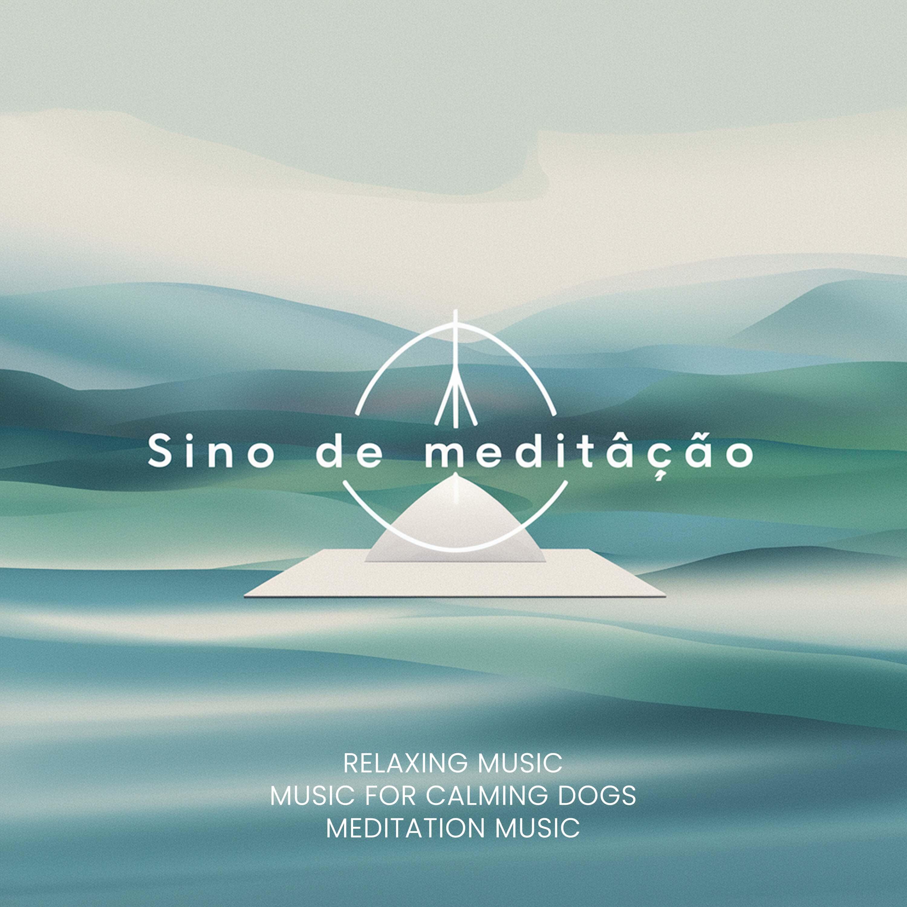Постер альбома Sino De Meditação