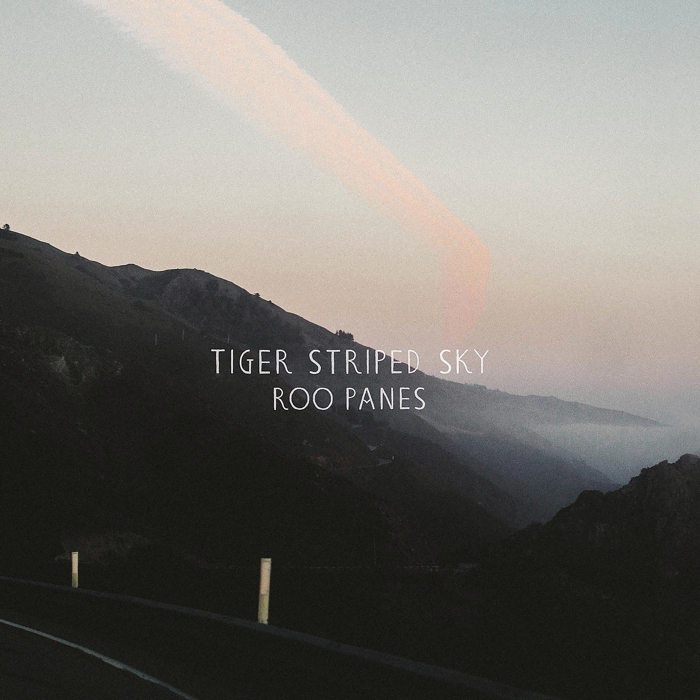 Постер альбома Tiger Striped Sky