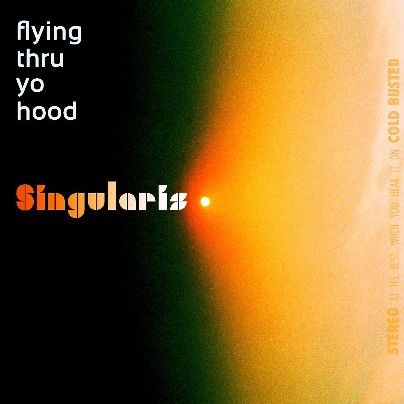 Постер альбома Flying Thru Yo Hood