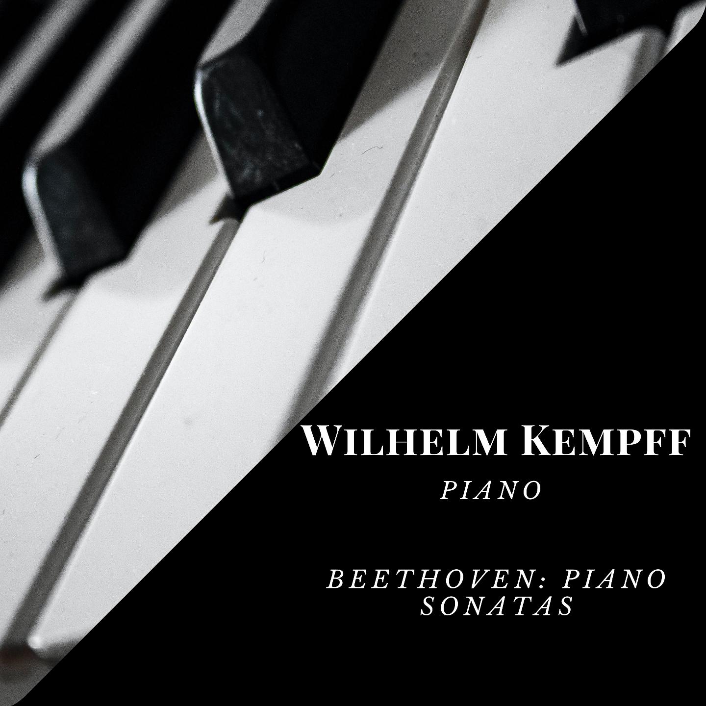 Постер альбома Wilhelm Kempff - Piano