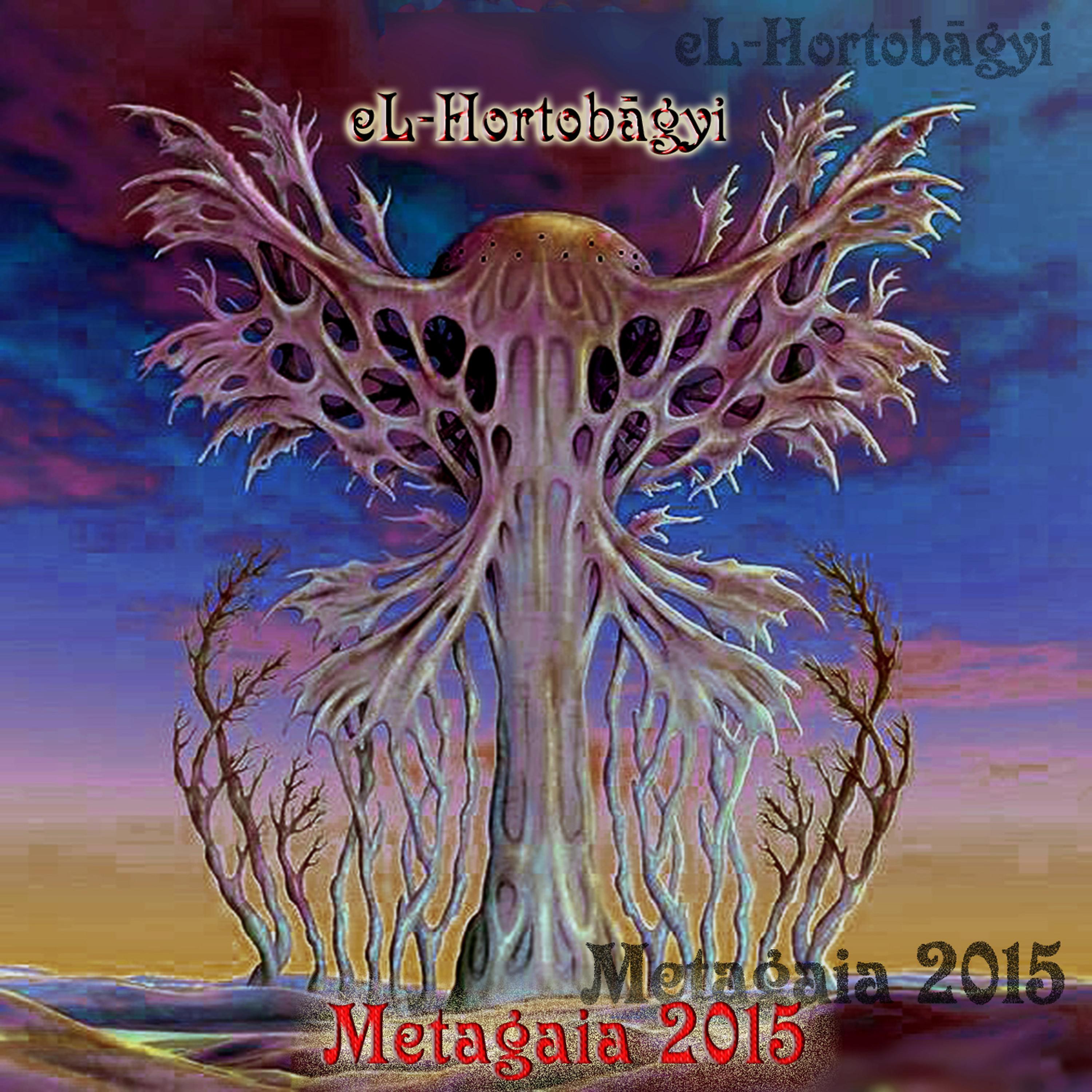 Постер альбома Metagaia 2015