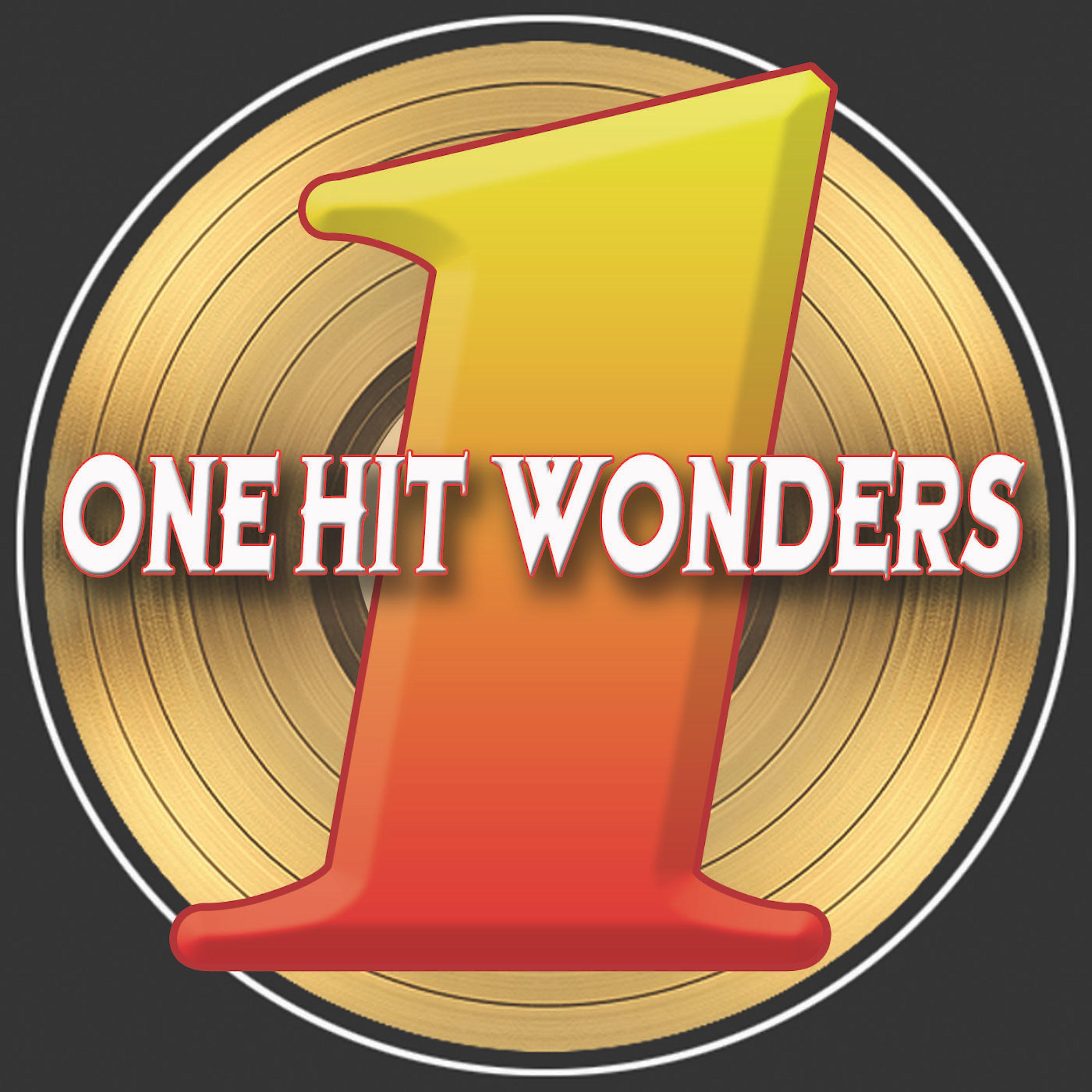 Постер альбома One Hit Wonders (Re-Recorded Versions)
