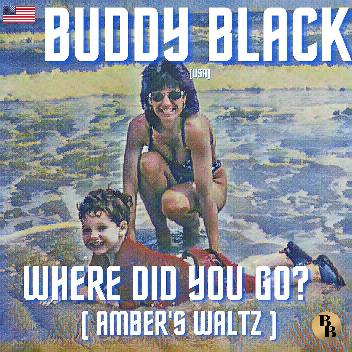 Постер альбома Where Did You Go? ( Amber's Waltz )