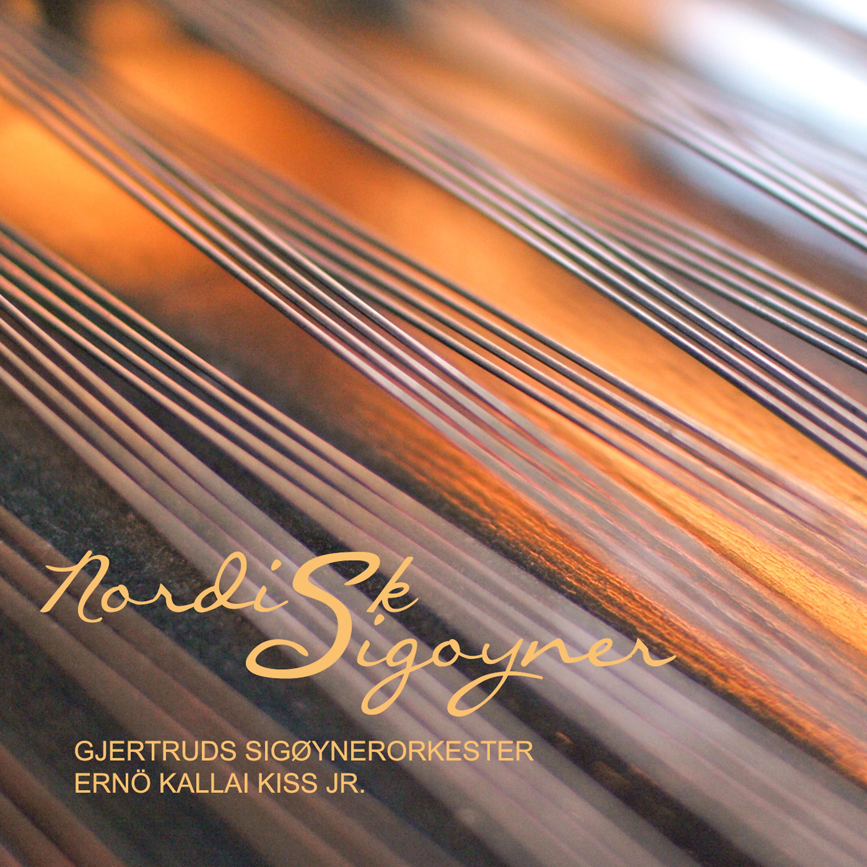 Постер альбома Nordisk Sigøyner