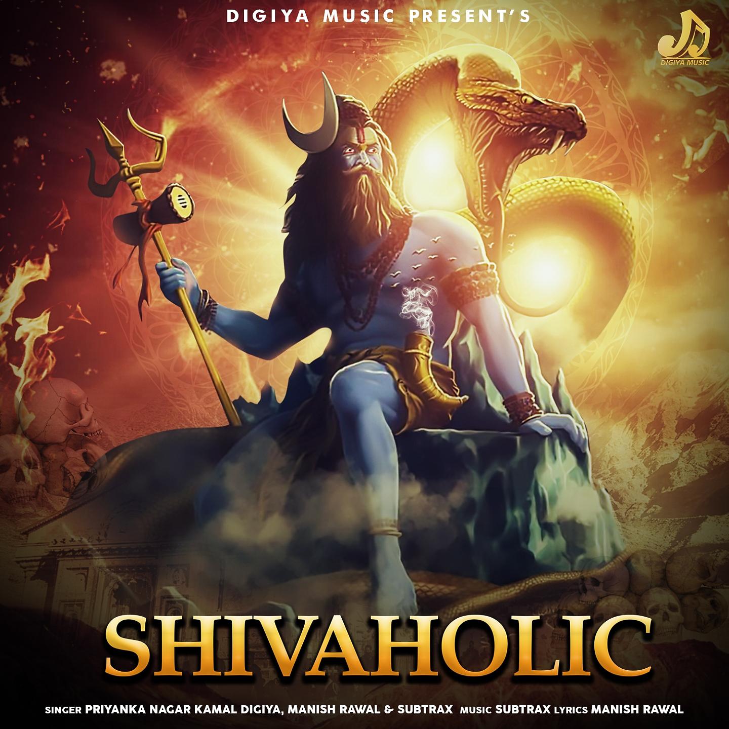 Постер альбома Shivaholic