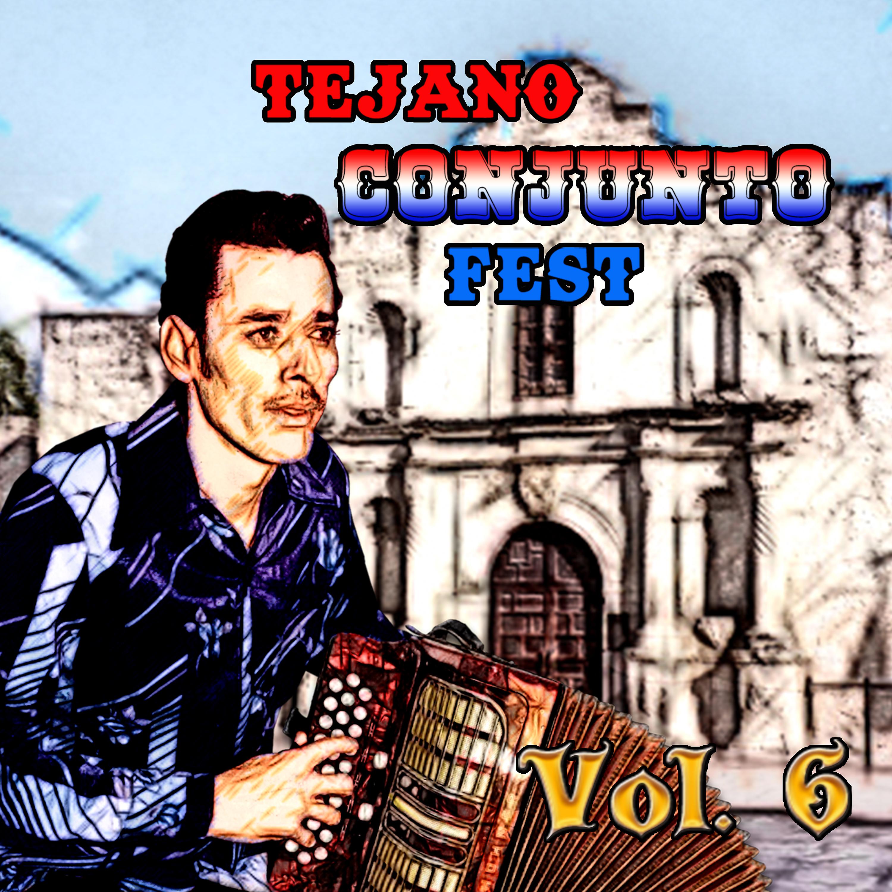 Постер альбома Tejano Conjunto Festival, Vol. 6