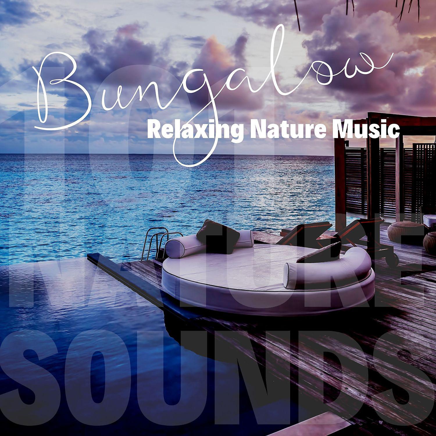 Постер альбома Bungalow Relaxing Nature Music