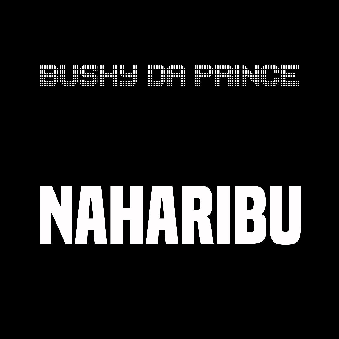 Постер альбома Naharibu