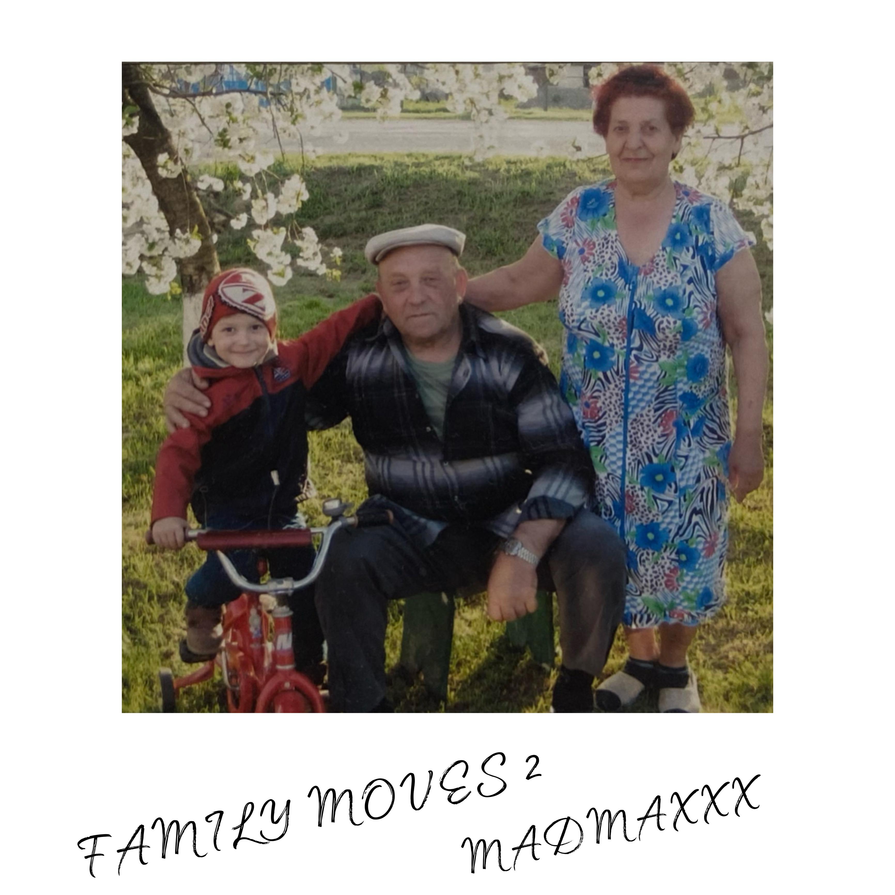 Постер альбома FAMILY MOVES 2