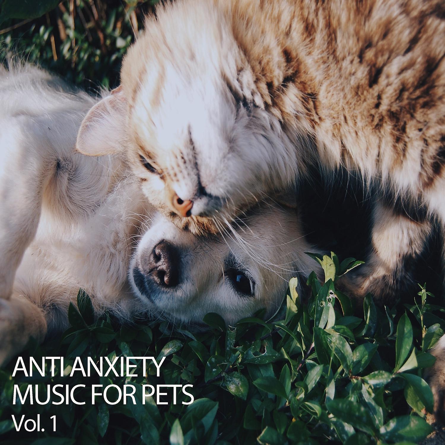 Постер альбома Anti Anxiety Music For Pets Vol. 1
