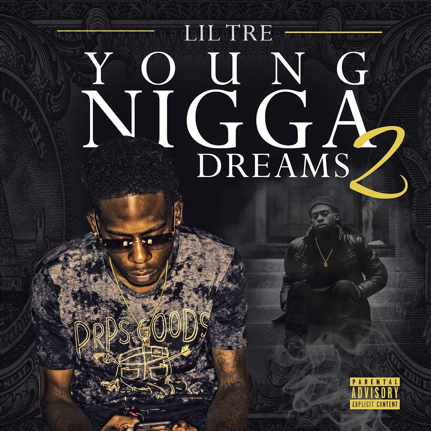 Постер альбома Young Nigga Dreams, Vol. 2