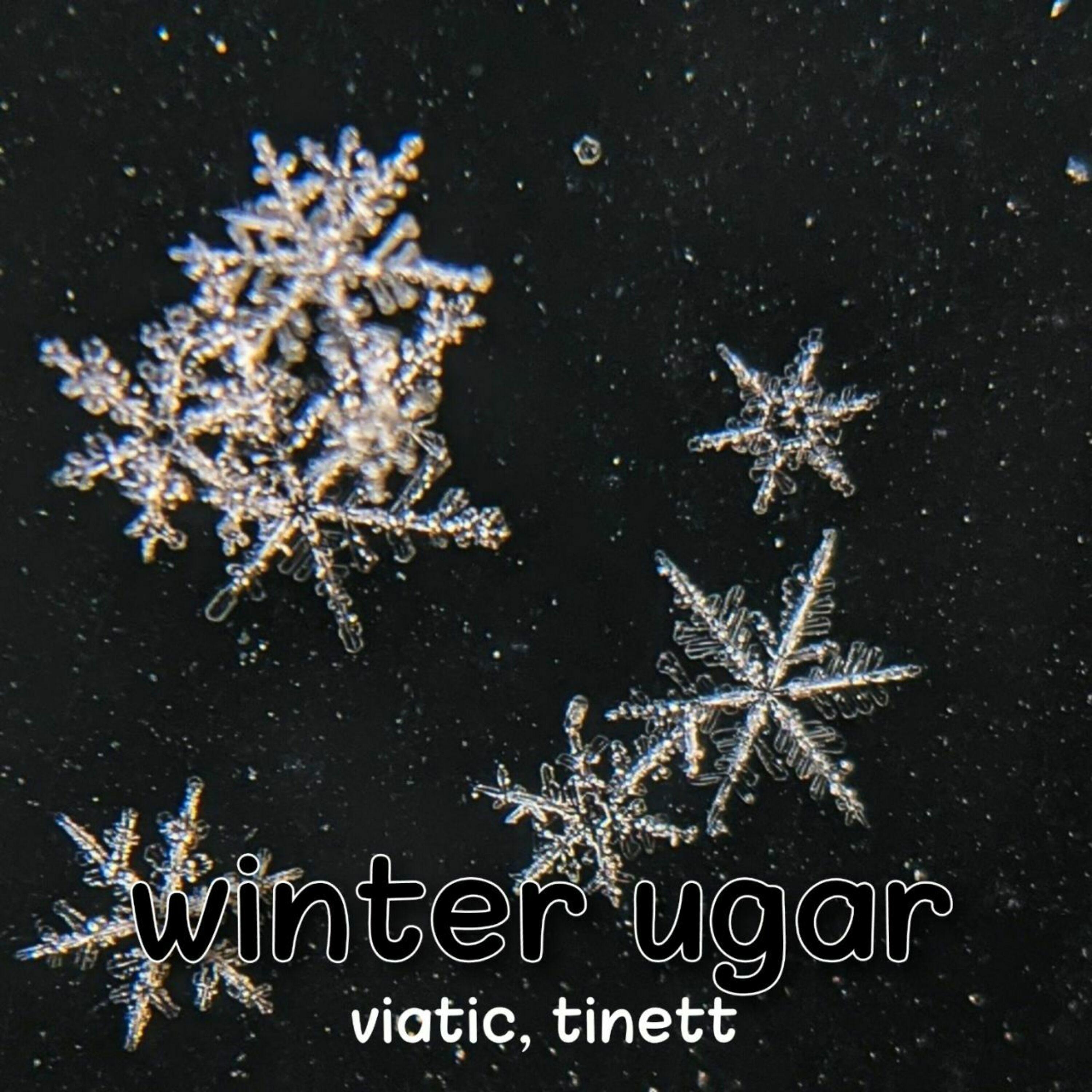 Постер альбома Winter Ugar