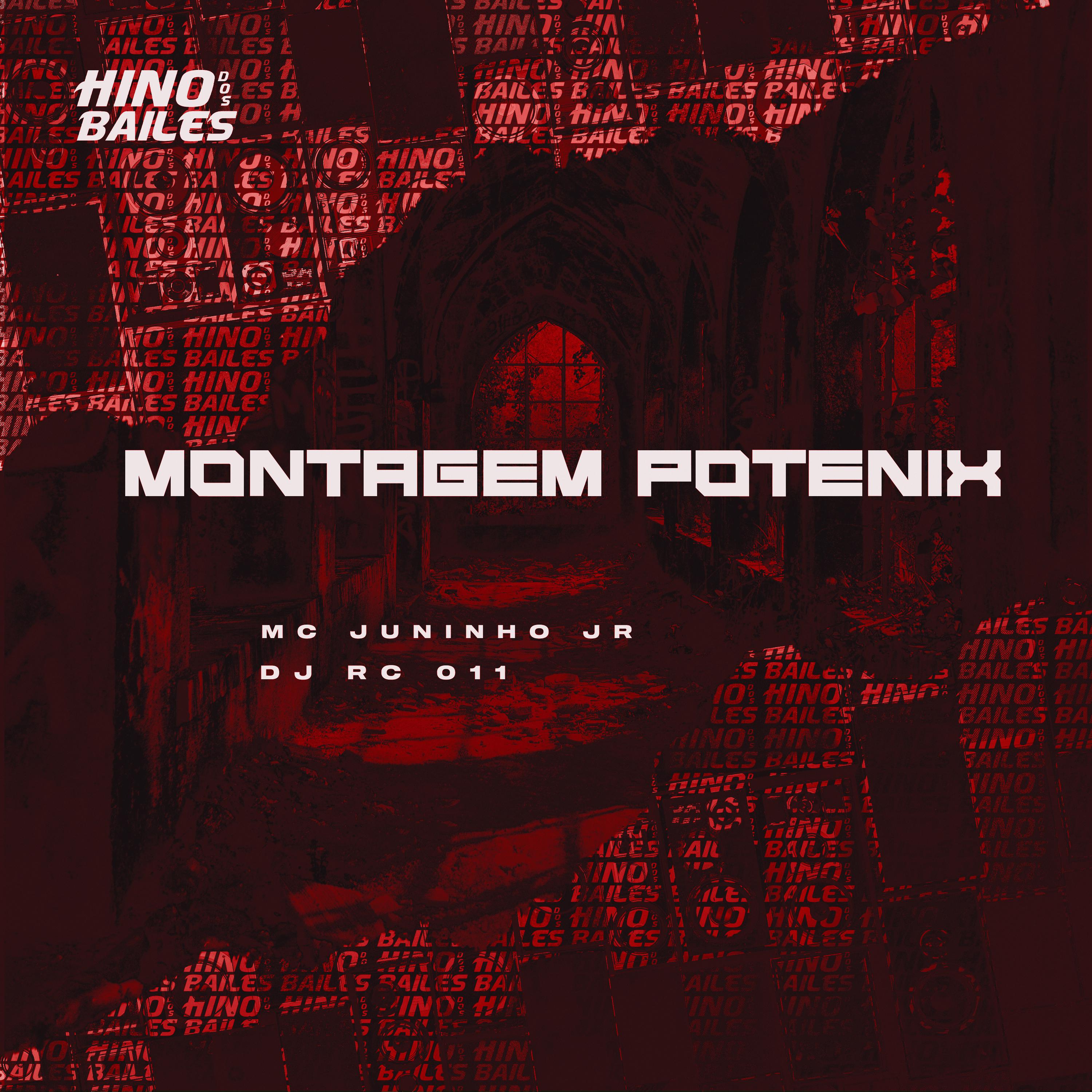 Постер альбома Montagem Potenix