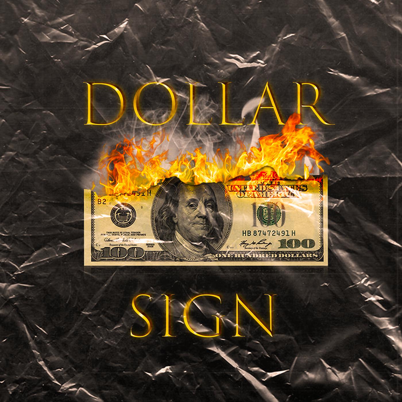 Постер альбома Dollar Sign