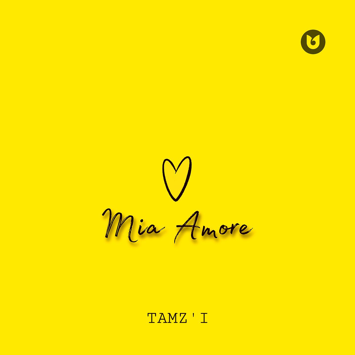 Постер альбома Mia Amore