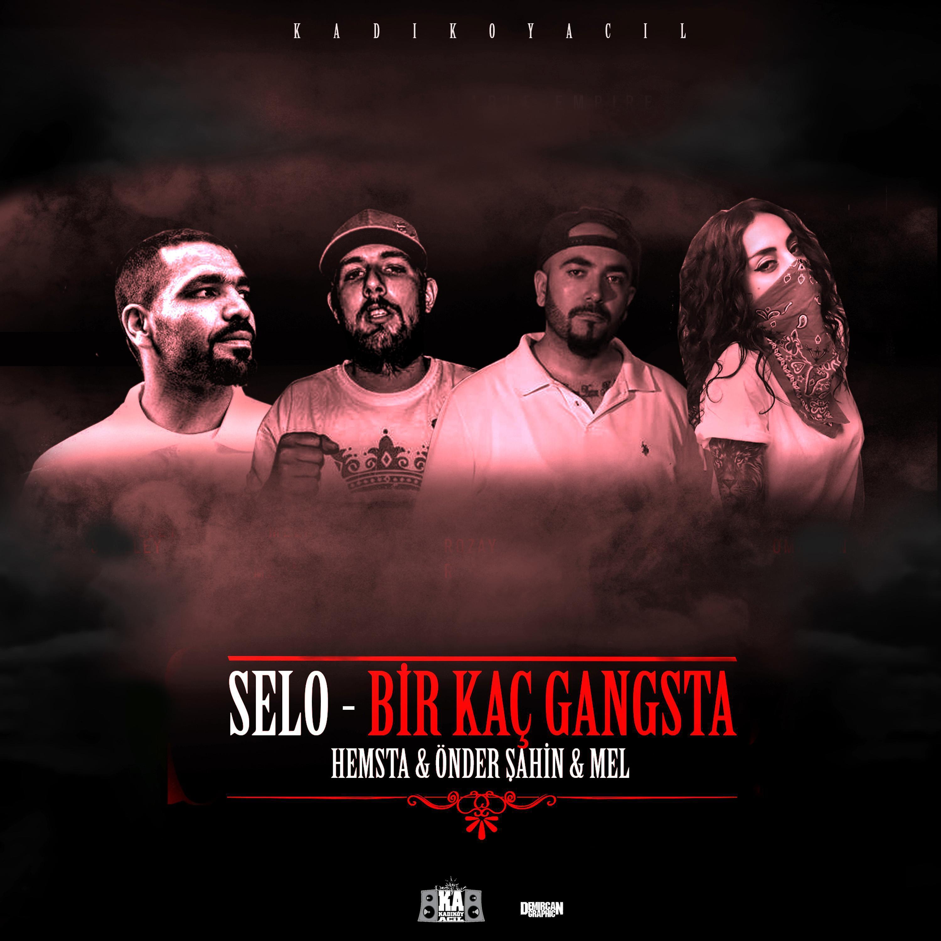 Постер альбома Birkaç Gangsta