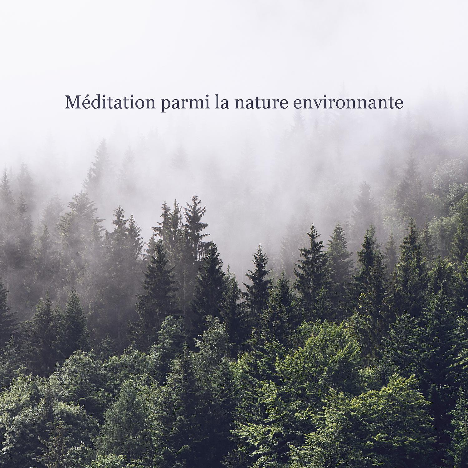 Постер альбома Méditation parmi la nature environnante. Belle musique relaxante, Exercice quotidien, Faire taire l'esprit