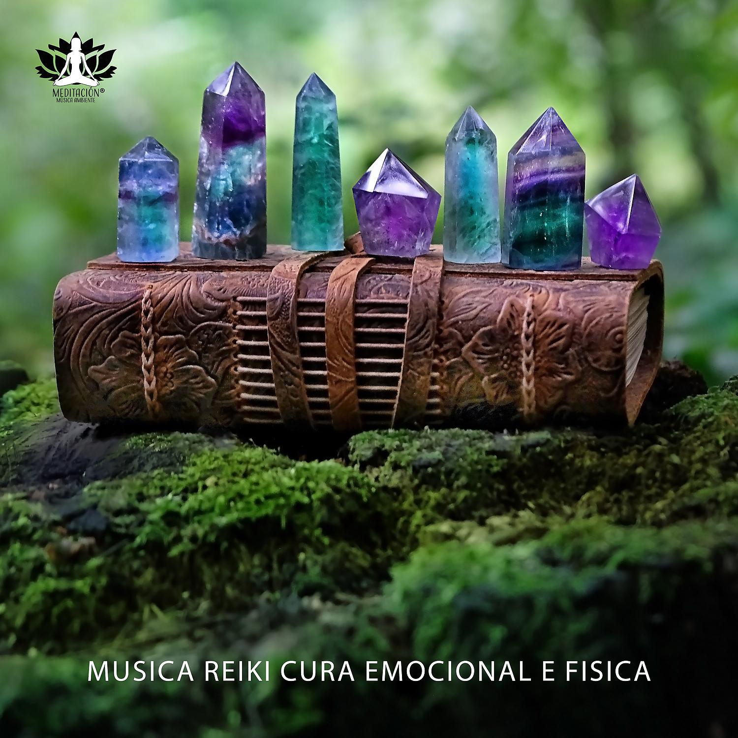 Постер альбома MusicaReikiCura Emocional e Fisica: Relajante para Dormir, Musica para Meditar y Relajacion