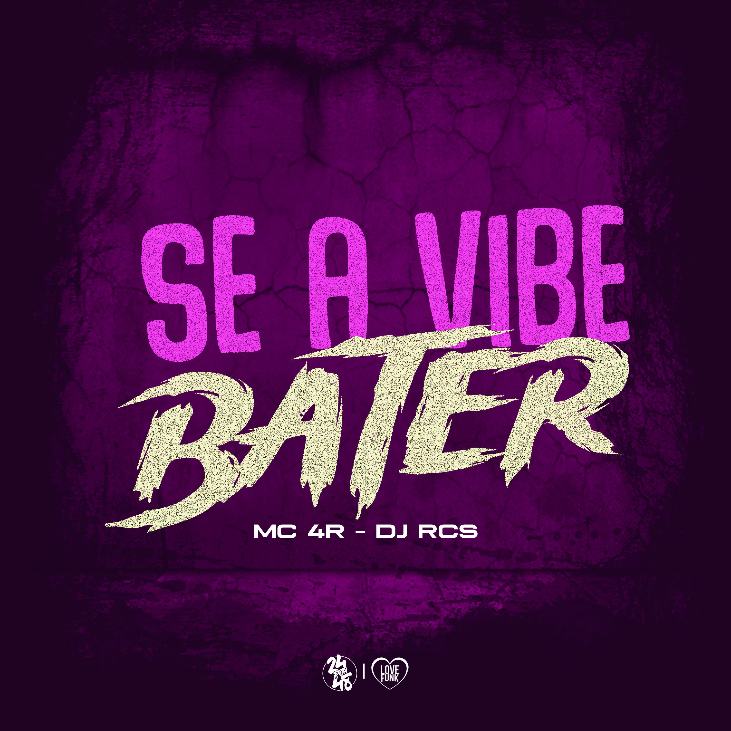 Постер альбома Se a Vibe Bater