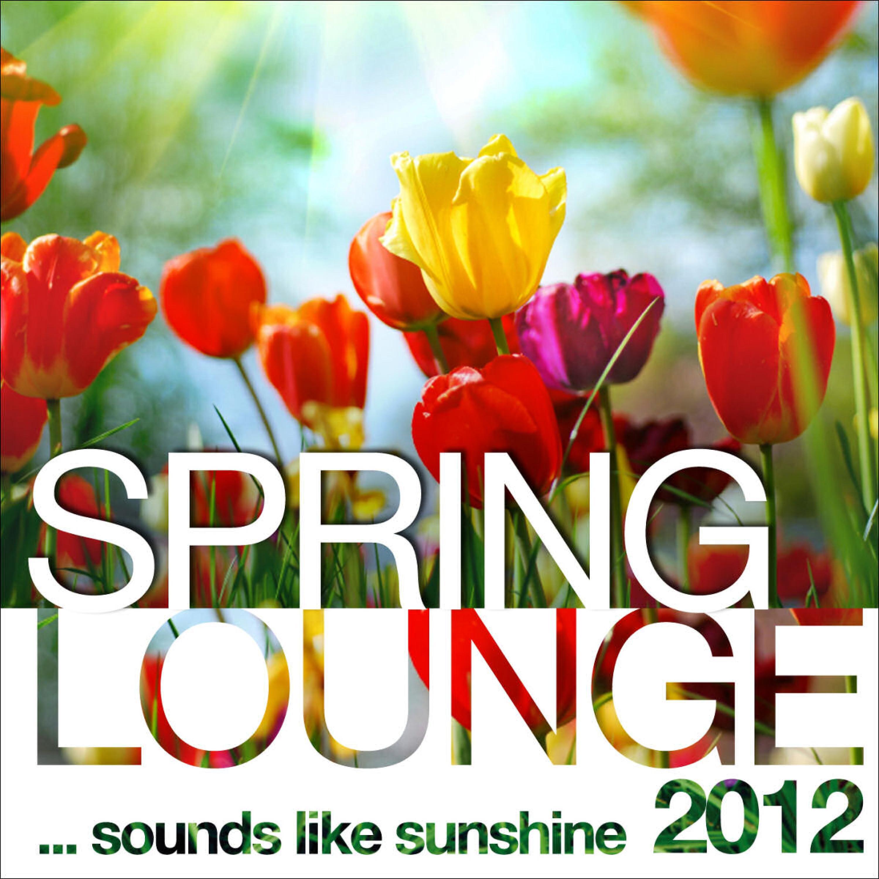 Постер альбома Spring Lounge 2012