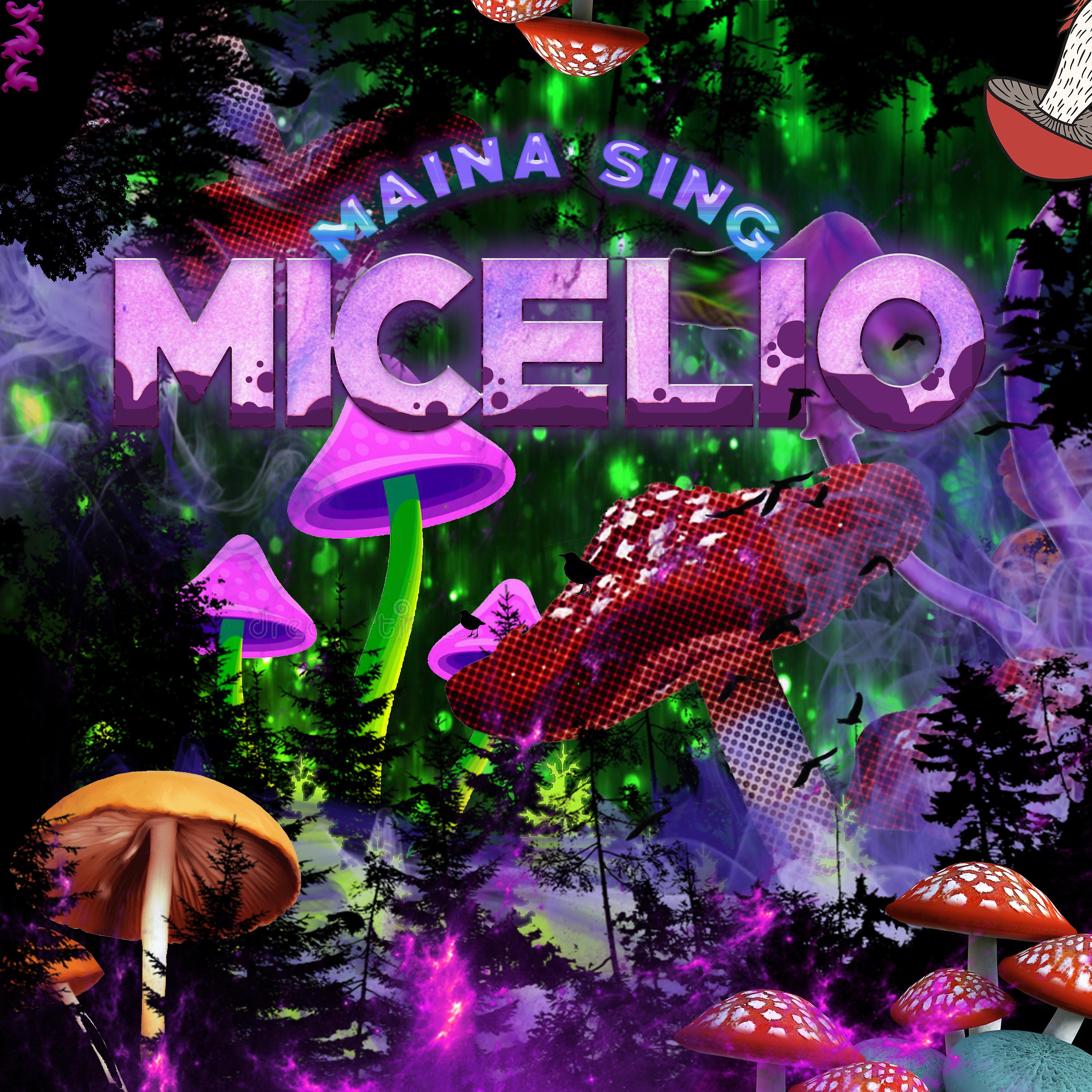 Постер альбома Micelio