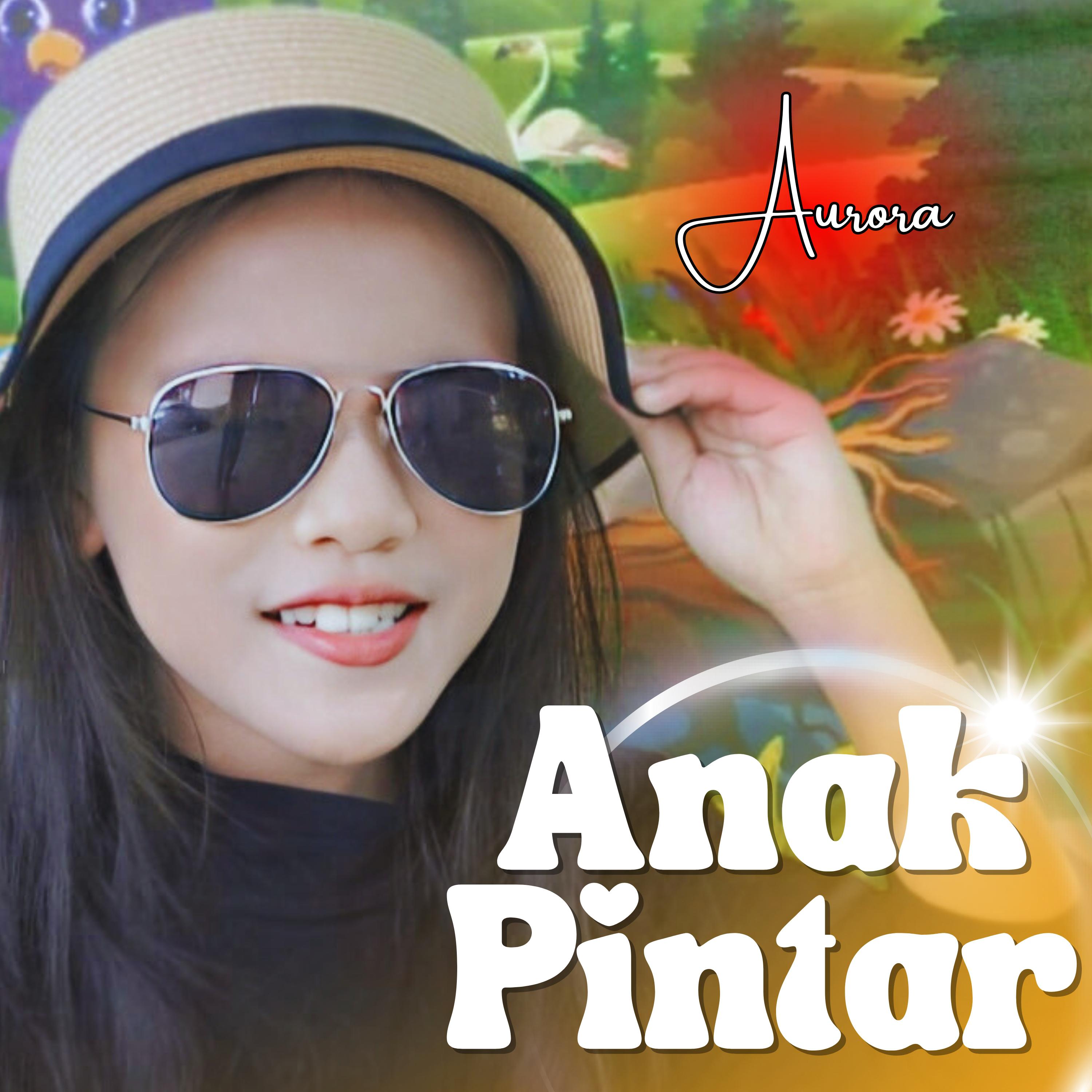 Постер альбома Anak Pintar