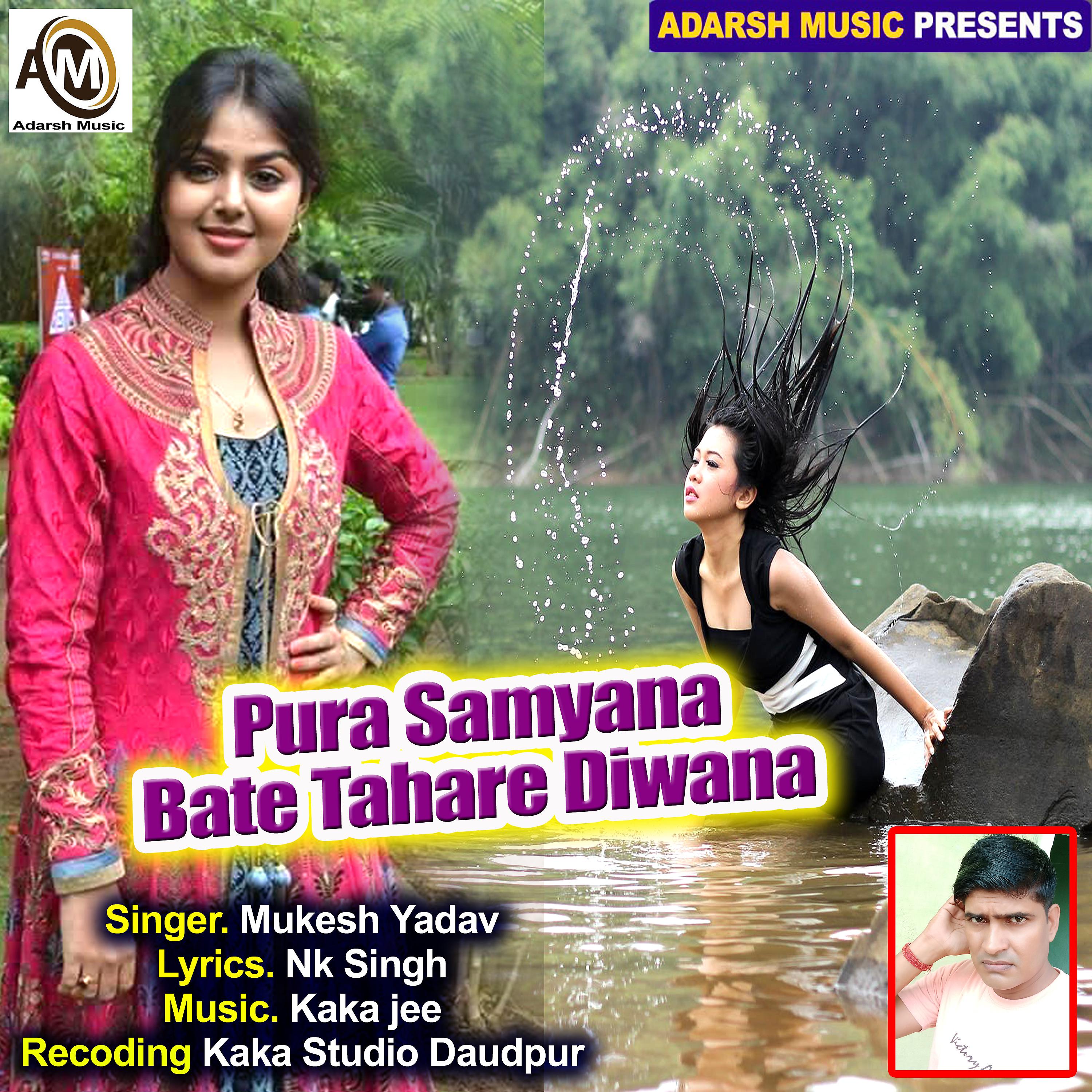Постер альбома Pura Samyana Bate Tahare Diwana