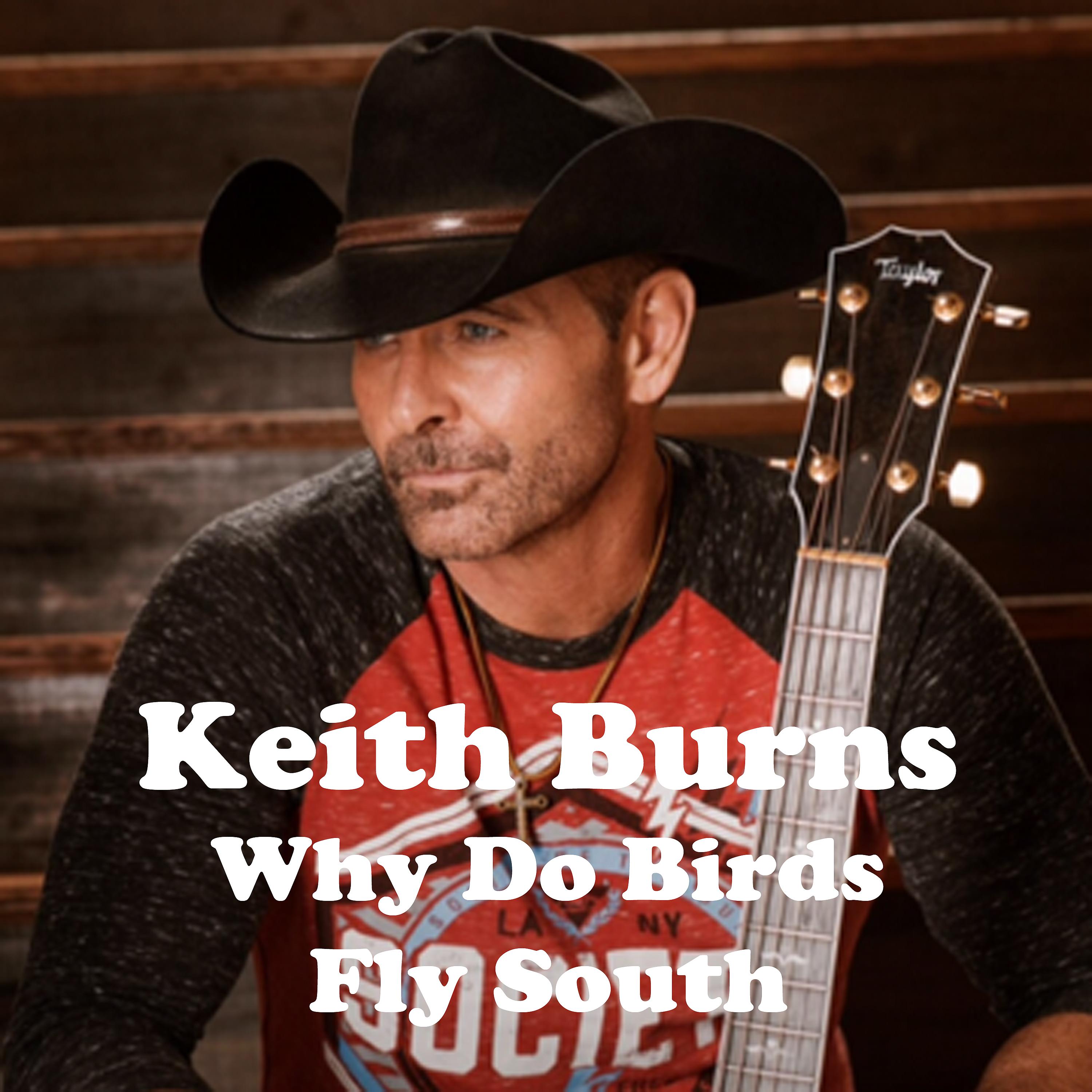 Постер альбома Why Do Birds Fly South