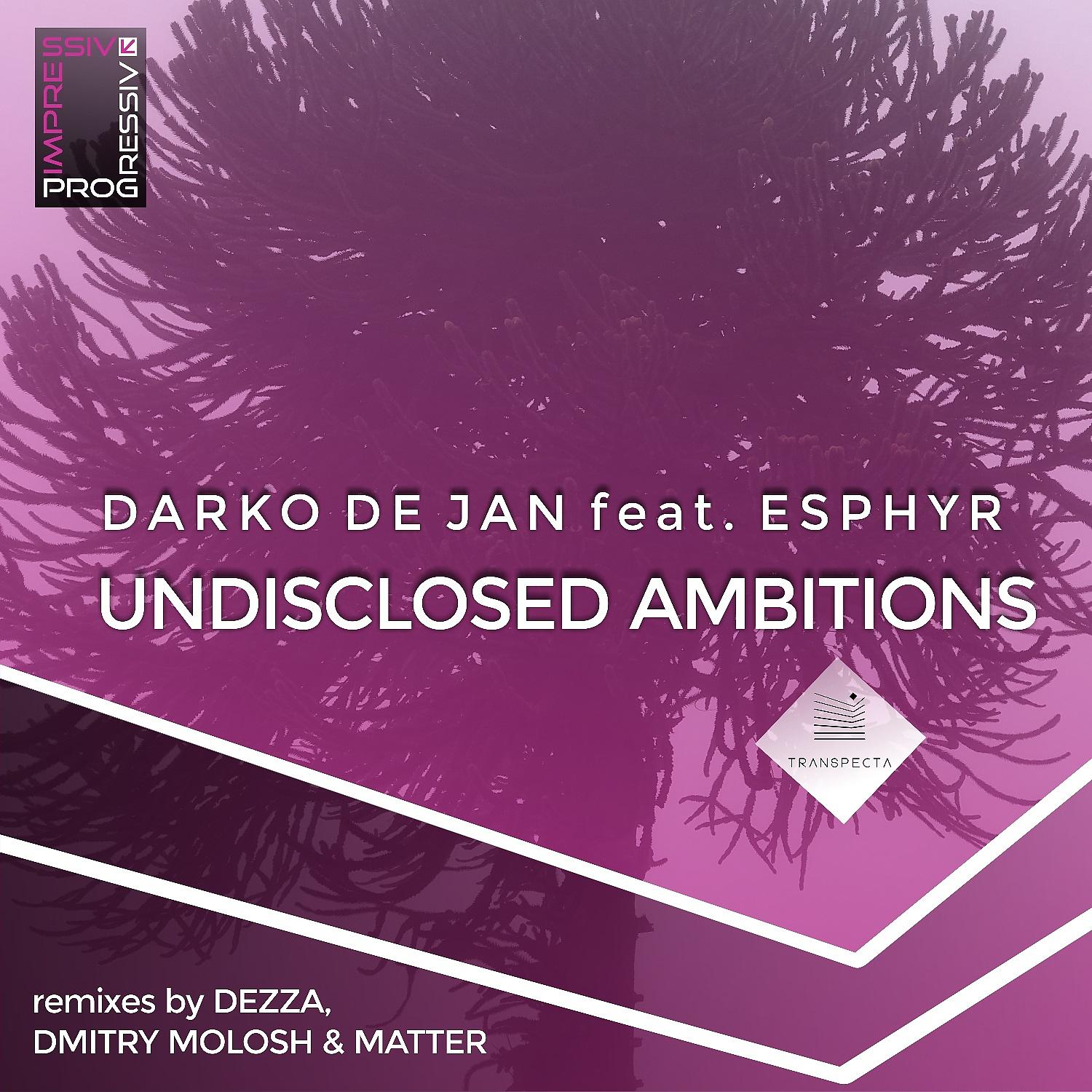 Постер альбома Undisclosed Ambitions (Remixes)