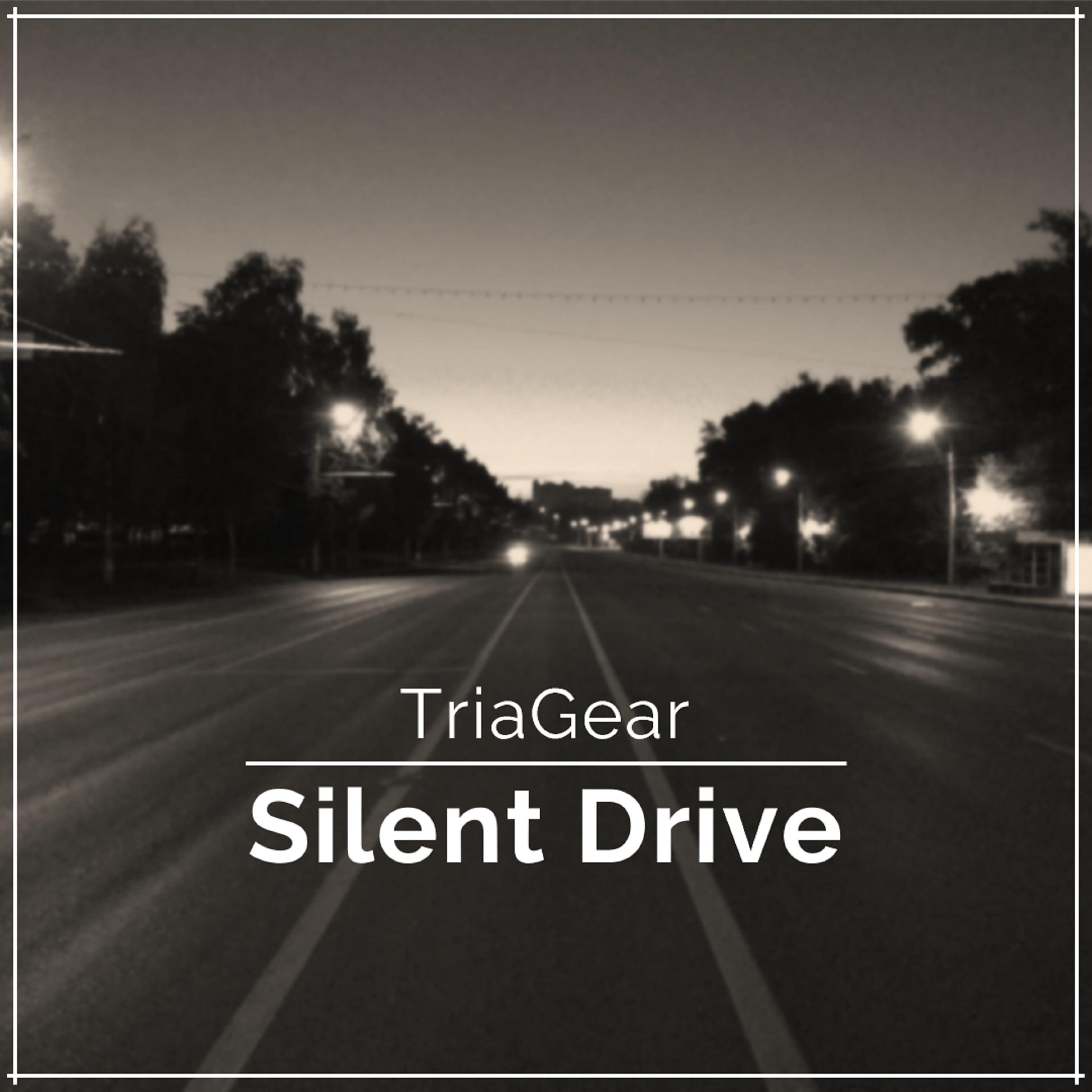 Постер альбома Silent Drive
