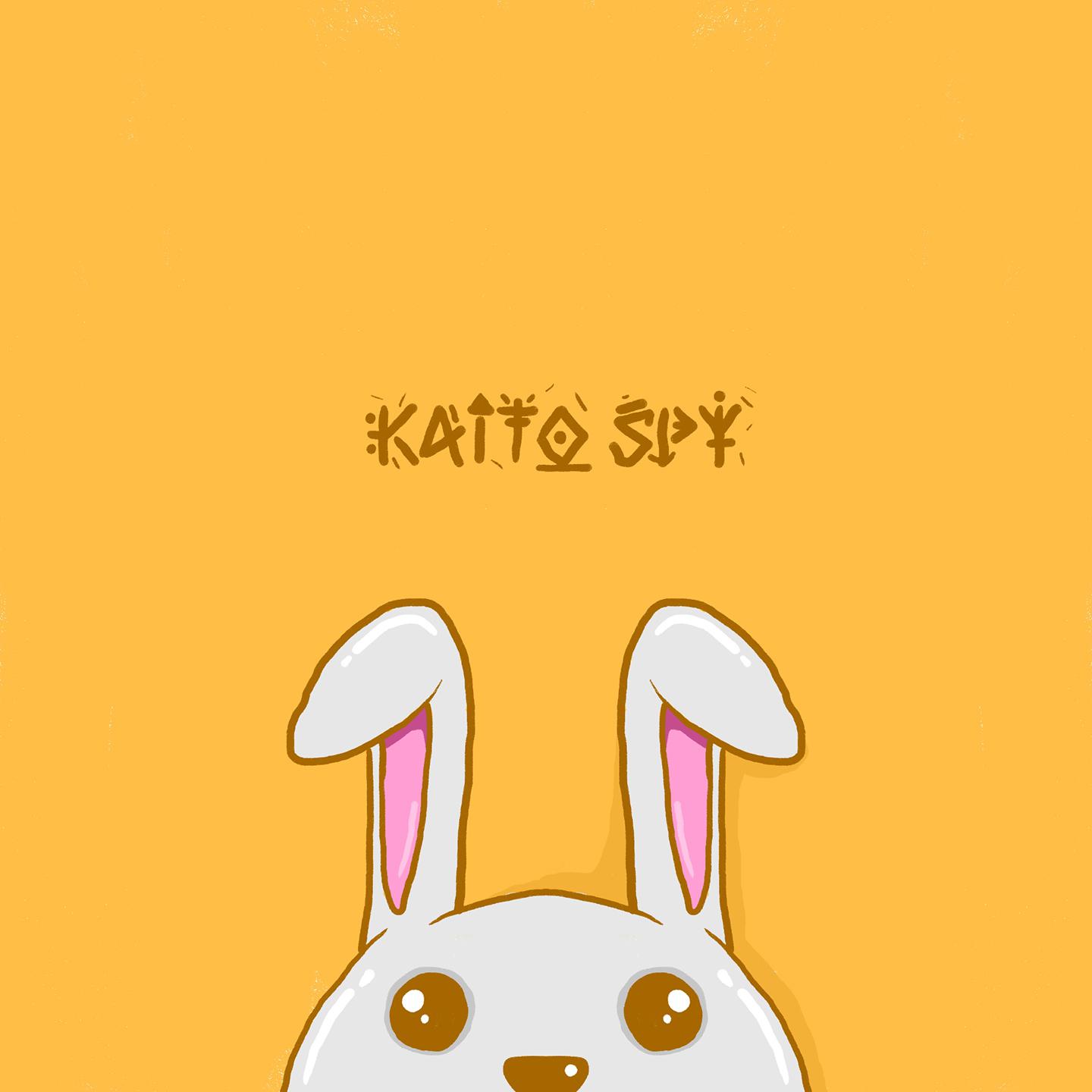 Постер альбома Kaito Spy