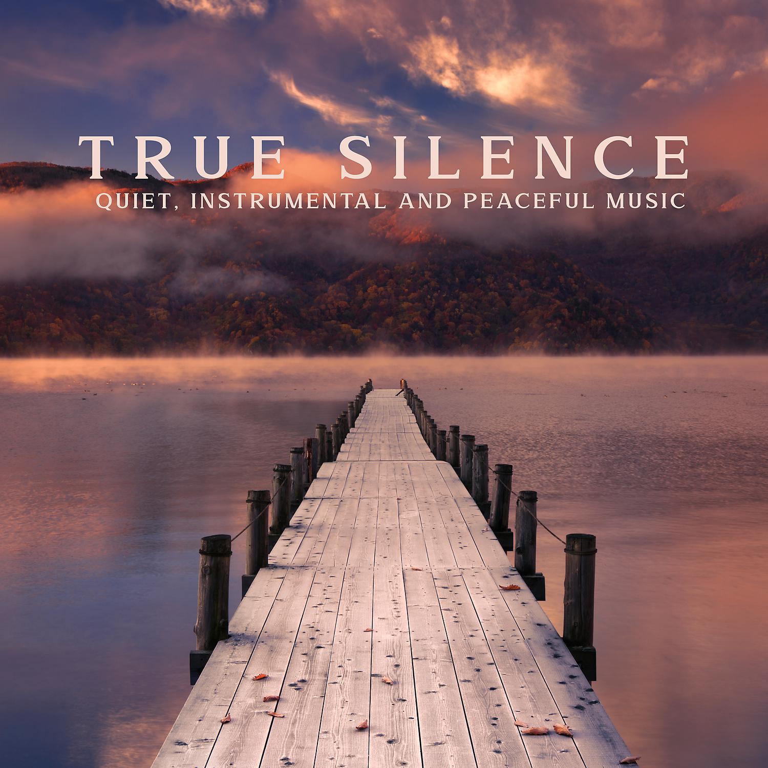 Постер альбома True Silence: Quiet, Instrumental and Peaceful Music - Study Music, Meditation & Sleep Music, Stress Relief, Nature Relaxing Sounds