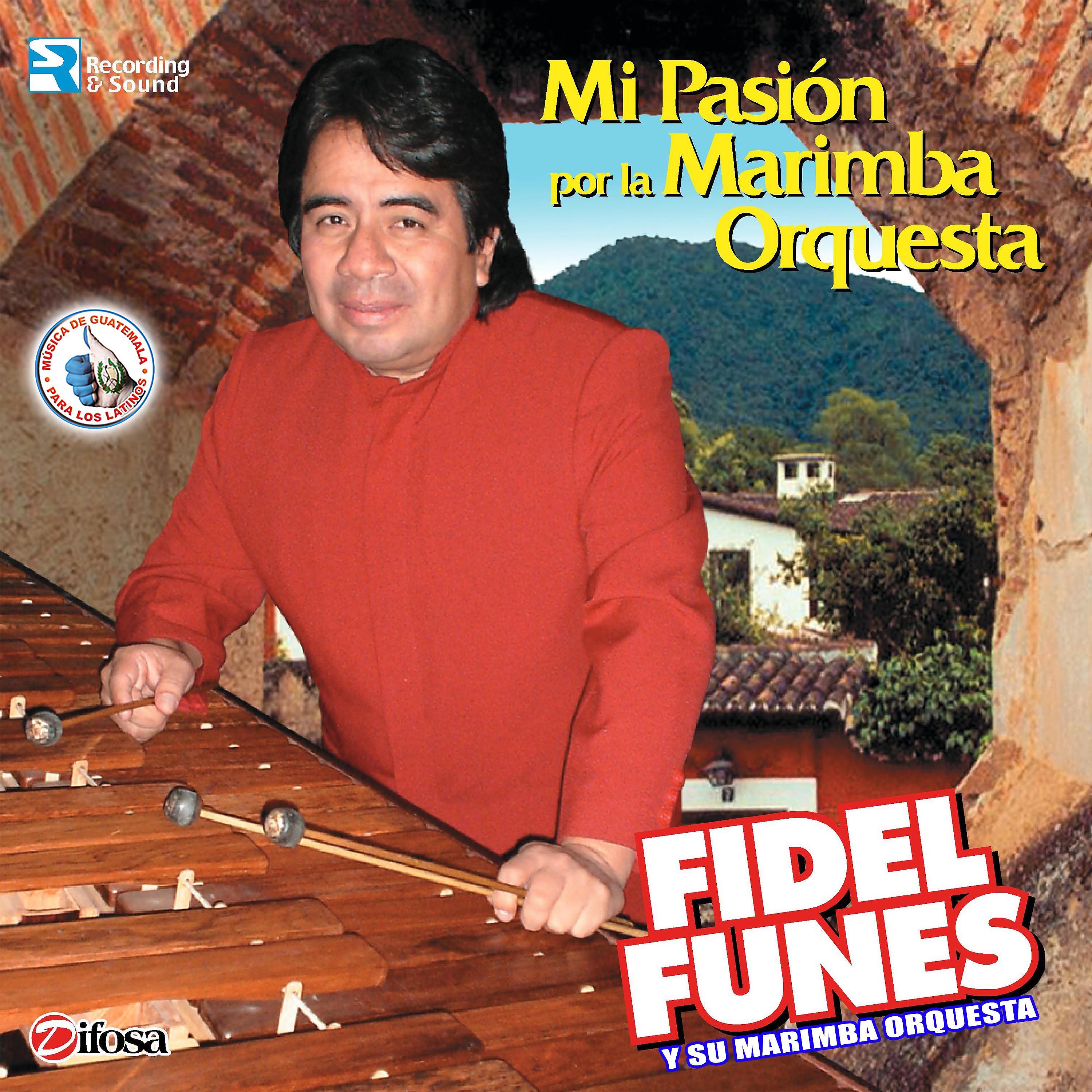 Постер альбома Mi Pasión por la Marimba Orquesta. Música de Guatemala para los Latinos