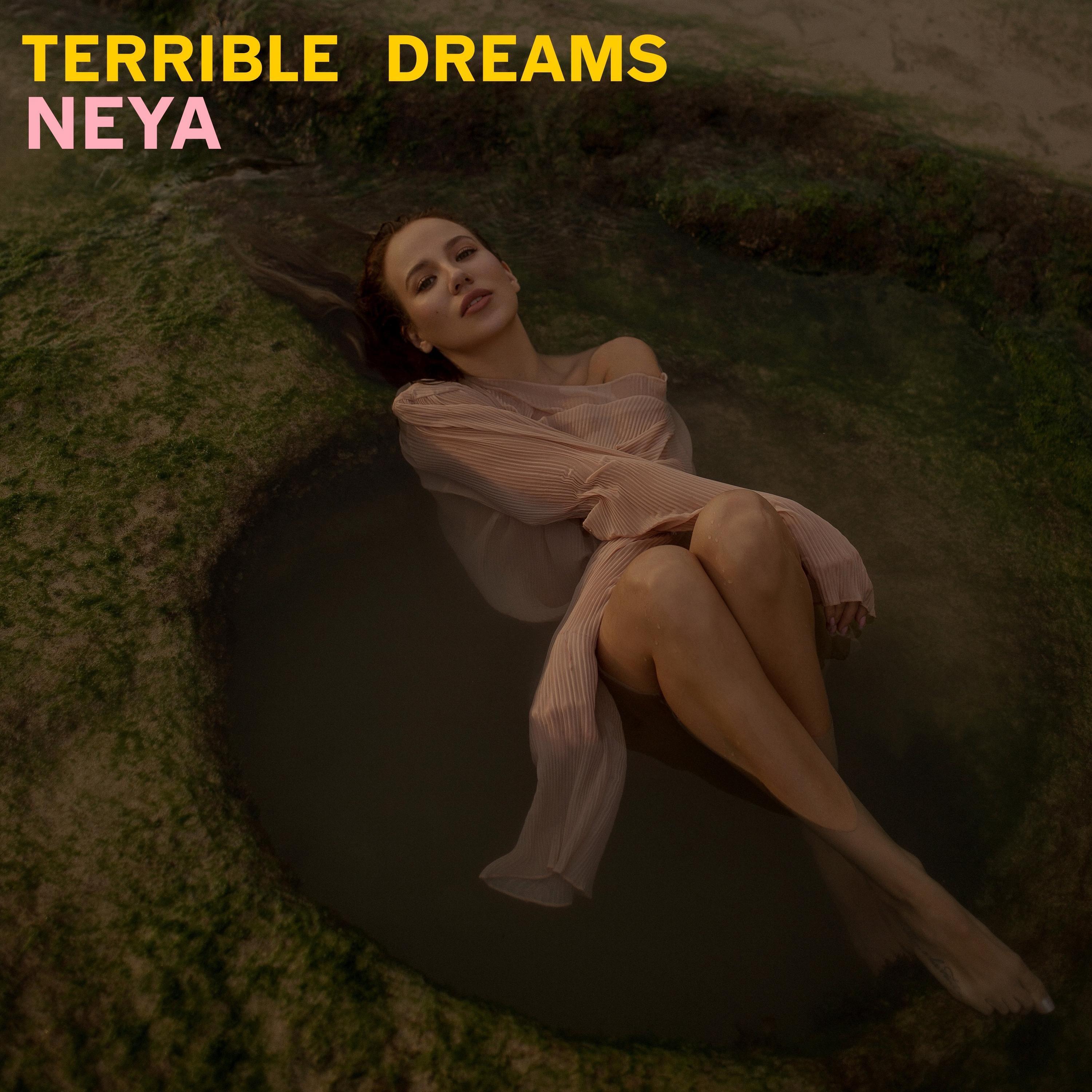 Постер альбома Terrible Dreams