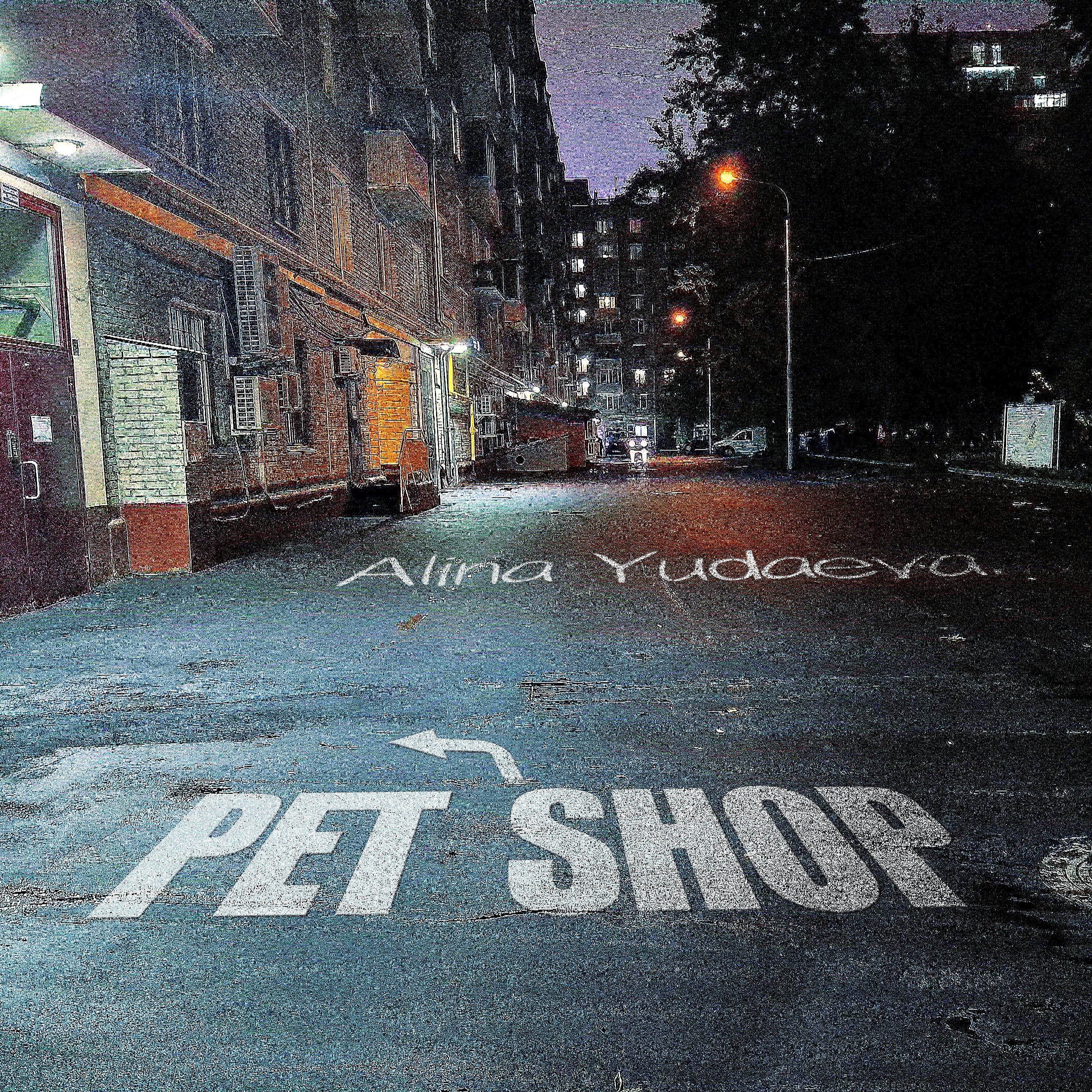 Постер альбома Pet Shop