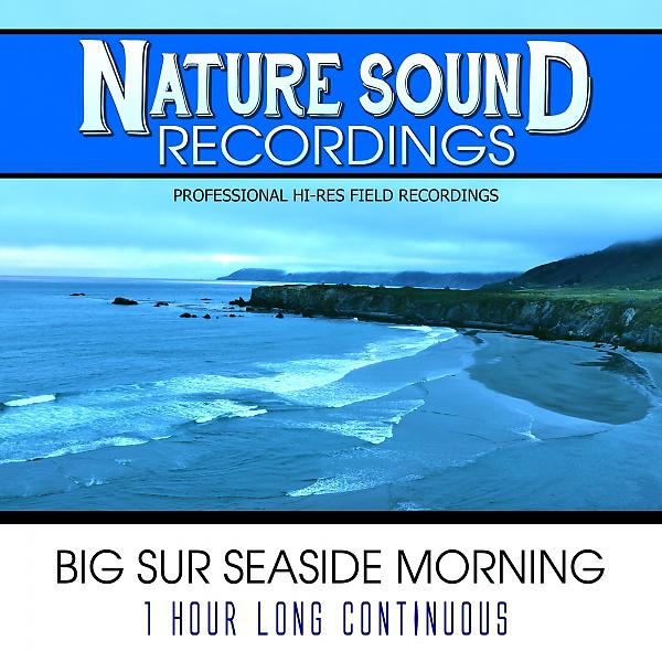 Постер альбома Big Sur Seaside Morning - 1 Hour Long Continuous