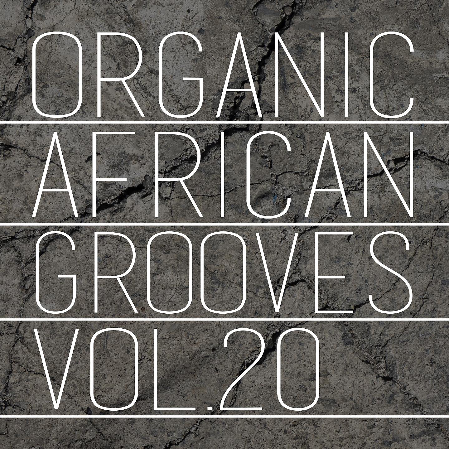 Постер альбома Organic African Grooves, Vol.20