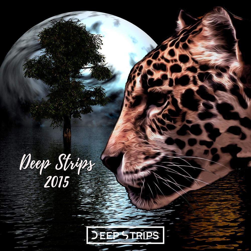 Постер альбома Deep Strips Year End