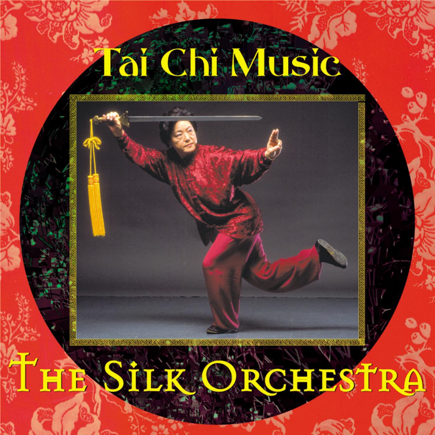 Постер альбома Tai Chi Music