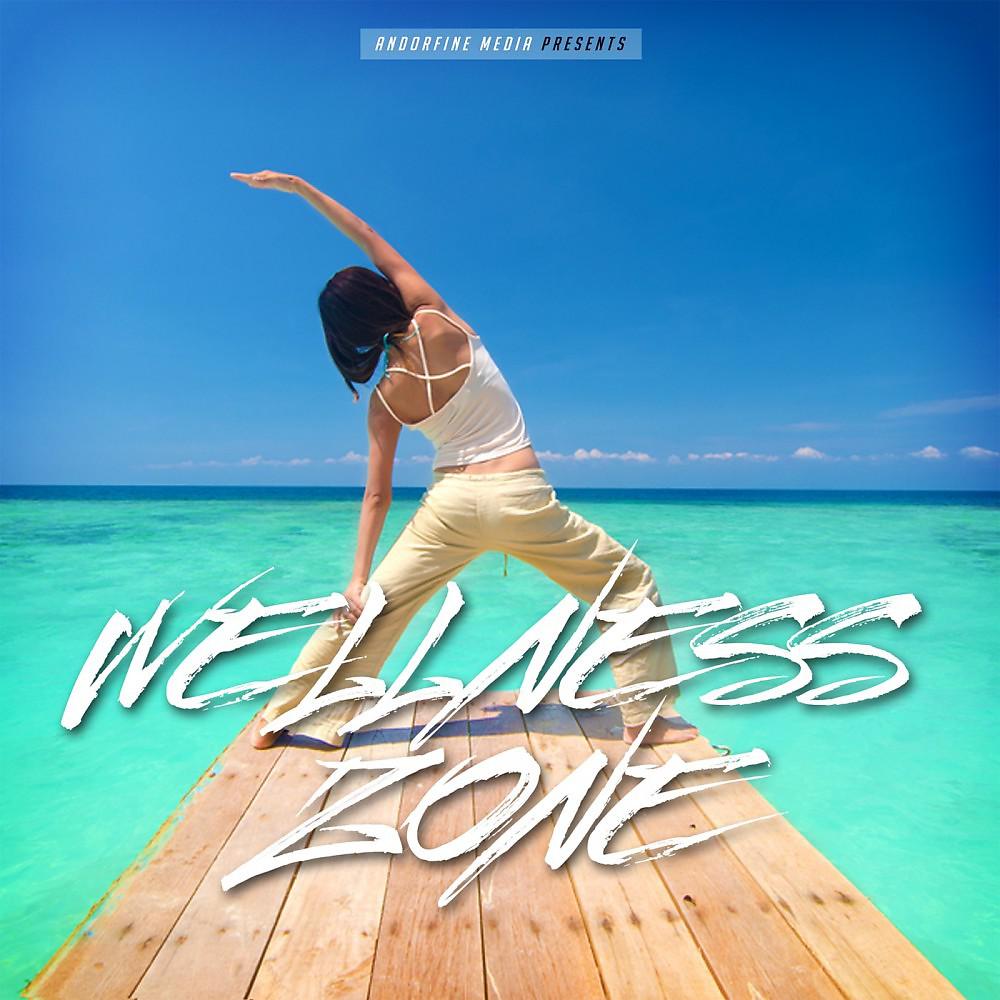 Постер альбома Wellness Zone