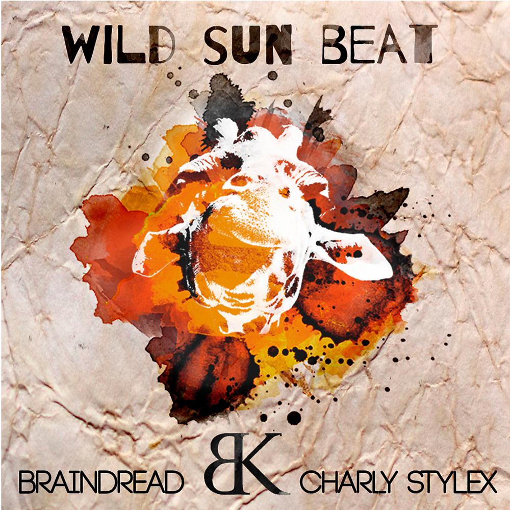 Постер альбома Wild Sun Beat