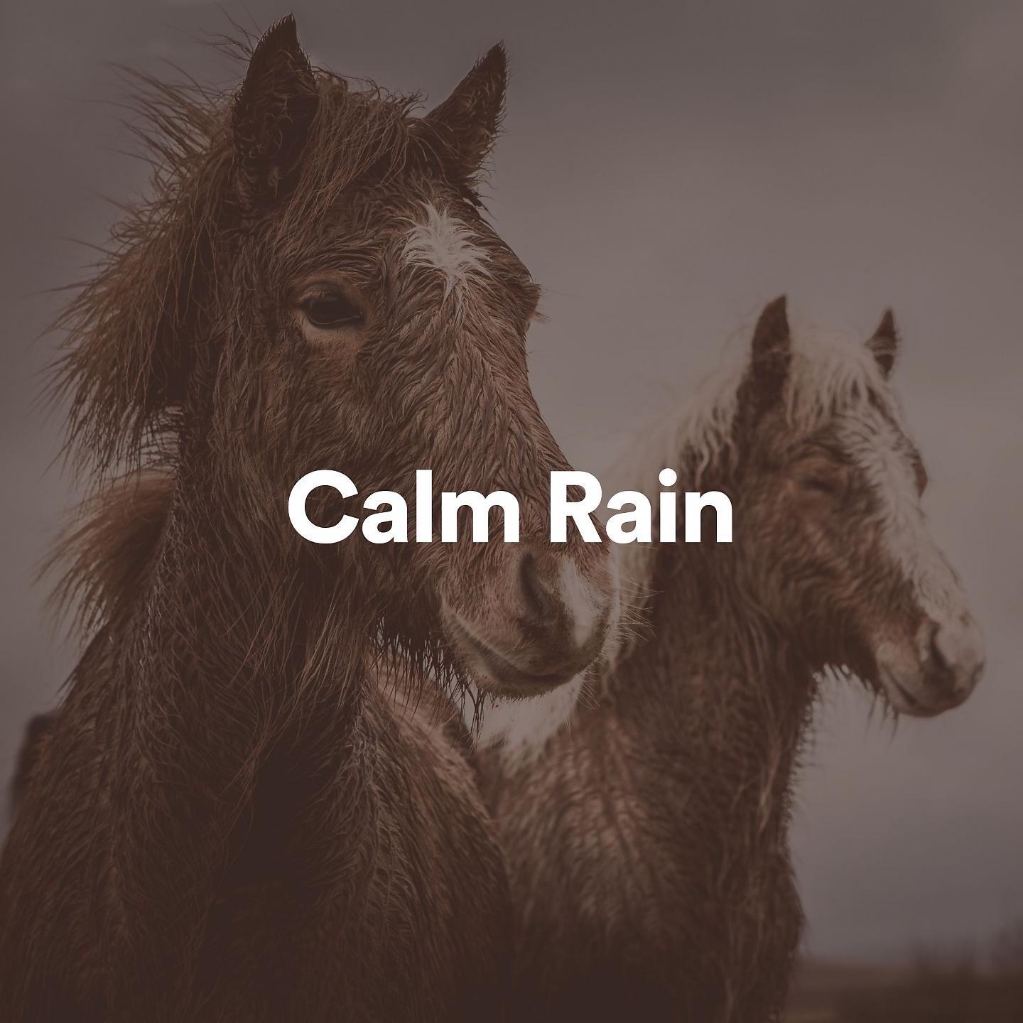 Постер альбома Calm Rain