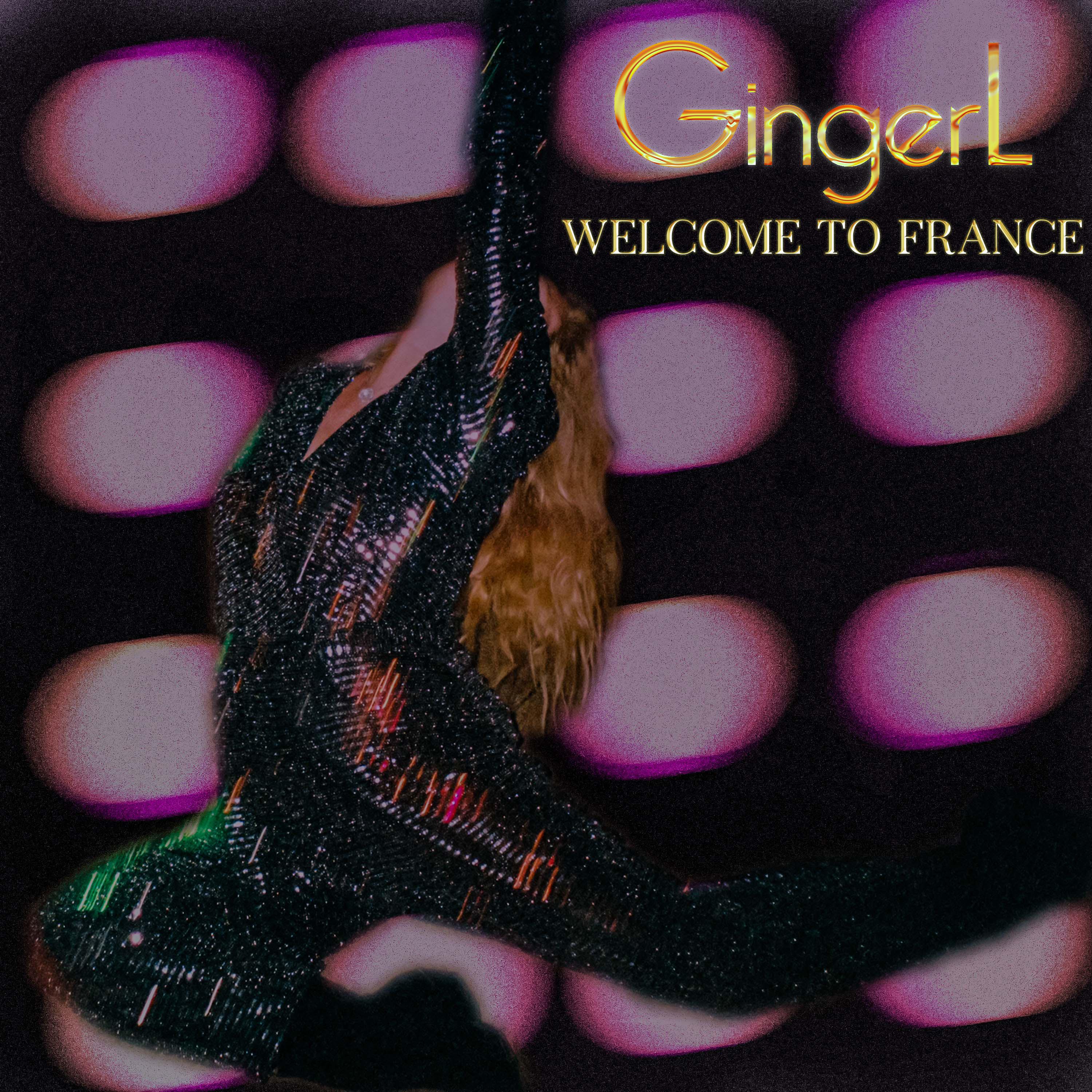 Постер альбома Welcome to France