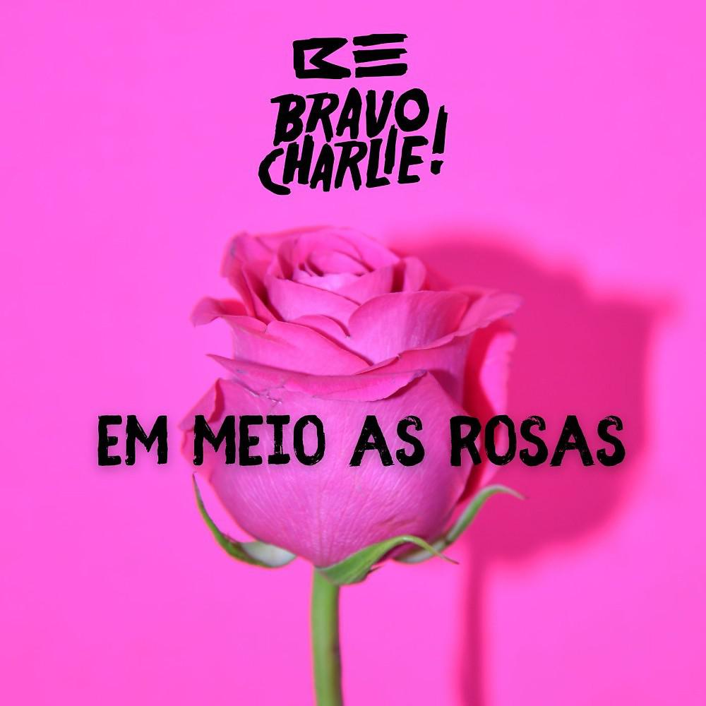 Постер альбома Em Meio as Rosas