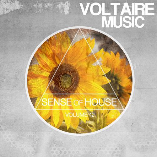 Постер альбома Sense of House, Vol. 12